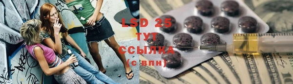 spice Алзамай