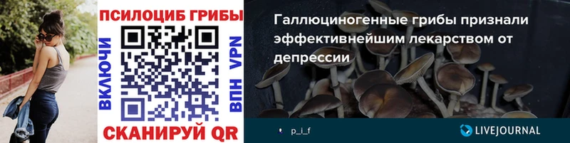 сколько стоит Нурлат Галлюциногенные грибы MAGIC MUSHROOMS