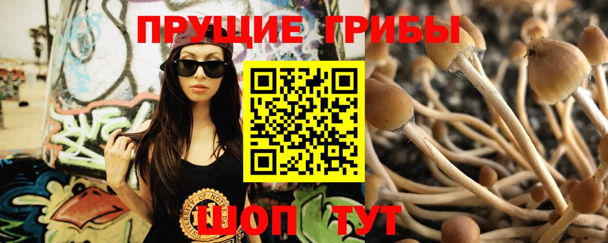 Псилоцибиновые грибы мухоморы  Вход с VPN  Нурлат 