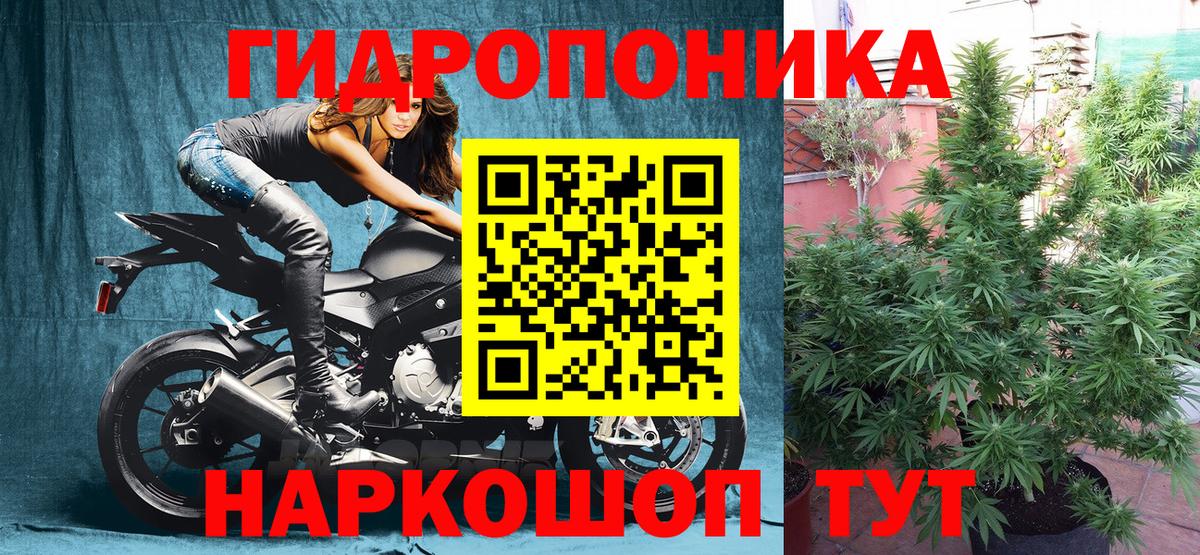 Шишки марихуана марихуана  Вход с VPN  Бошки Шишки индика  Бошки Шишки гибрид  Нурлат 